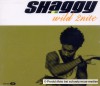 MAXI CD Shaggy Feat.Olivia - Wild 2nite + Video  * NEU