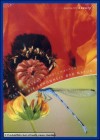 DVD "Die Schönheit der Natur" Nature's Beauty NEU + OVP