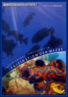 DVD Faszination der Meere - Natures Beauty * NEU+OVP